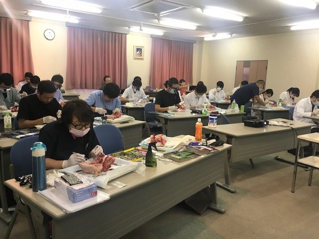 https://sakamoto-dental.jp/wp/wp-content/uploads/2017/07/2-e1568687615125.jpg